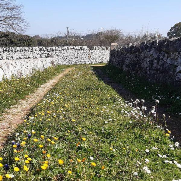 B&B Trulli Sotto La Cupa Martina Franca Exteriér fotografie