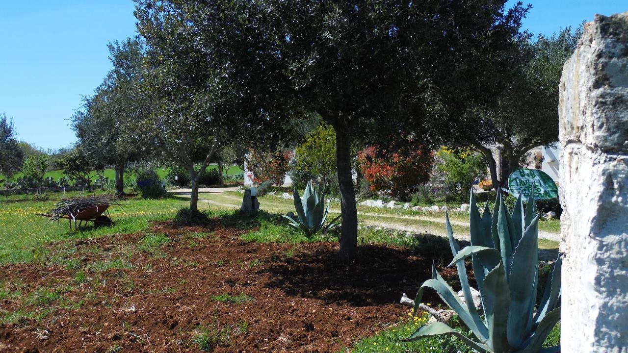B&B Trulli Sotto La Cupa Martina Franca Exteriér fotografie