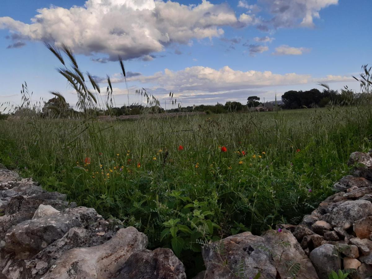 B&B Trulli Sotto La Cupa Martina Franca Exteriér fotografie