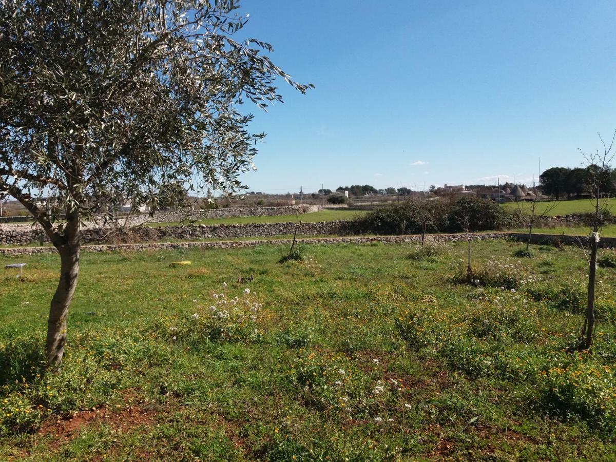 B&B Trulli Sotto La Cupa Martina Franca Exteriér fotografie
